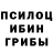 Псилоцибиновые грибы ЛСД Nastya Pryshchepa