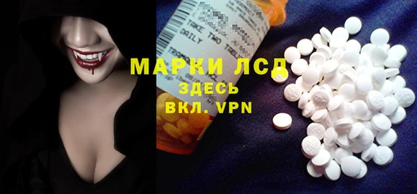 гидра Богданович