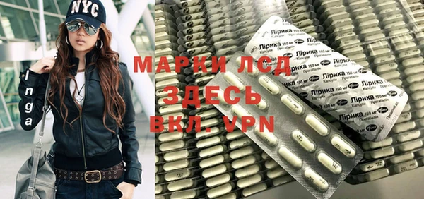 гидра Богданович