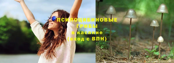 твердый Богородск