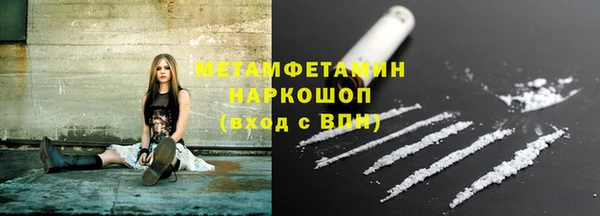 гидра Богданович