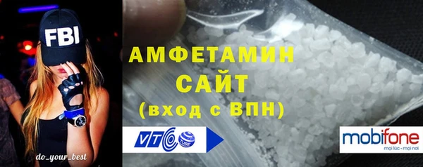 крисы Богородицк