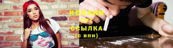 твердый Богородск