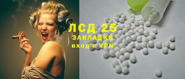 крисы Богородицк