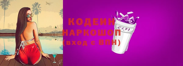 гидра Богданович