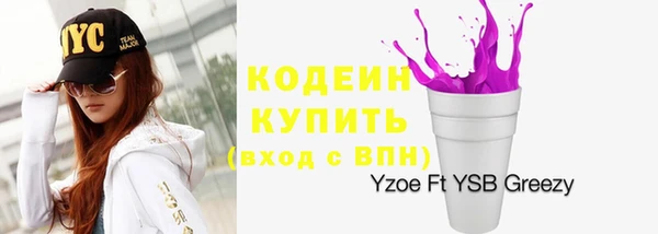 крисы Богородицк