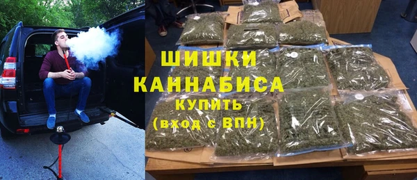 крисы Богородицк