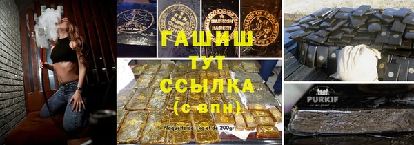 гидра Богданович