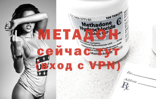 гидра Богданович