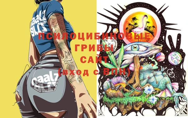 крисы Богородицк