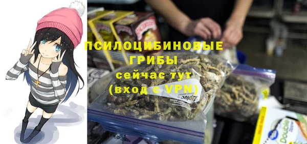 твердый Богородск