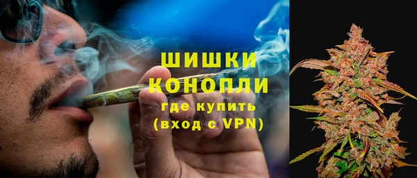 гидра Богданович