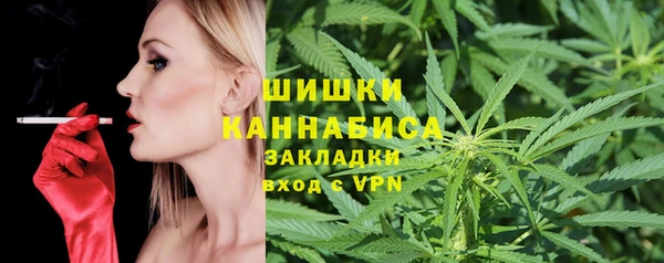 твердый Богородск