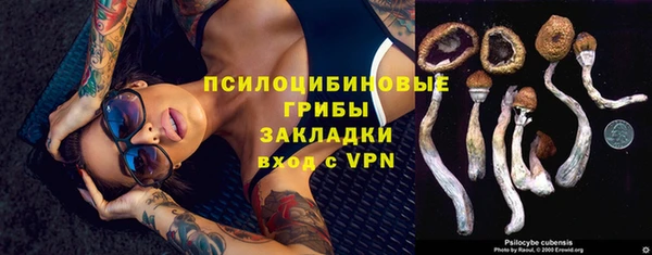 гидра Богданович
