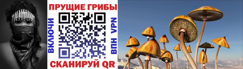 Купить где  Барабинск  Галлюциногенные грибы мухоморы 